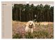 Thumbnail-12