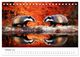 Thumbnail-12