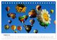 Thumbnail-13