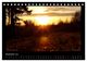 Thumbnail-14