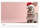 Thumbnail-11