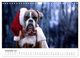 Thumbnail-4