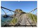 Thumbnail-9