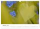 Thumbnail-14