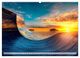 Thumbnail-11