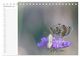 Thumbnail-14