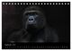 Thumbnail-11