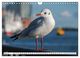 Thumbnail-9
