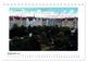 Thumbnail-11