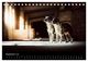 Thumbnail-14