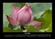 Thumbnail-10