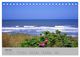 Thumbnail-11
