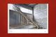 Thumbnail-16