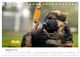 Thumbnail-11
