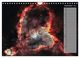 Thumbnail-11