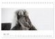 Thumbnail-9