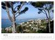 Thumbnail-11