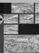 Thumbnail-12