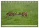 Thumbnail-14
