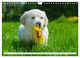 Thumbnail-12