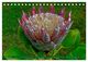 Thumbnail-10