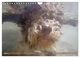 Thumbnail-9
