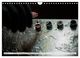 Thumbnail-12