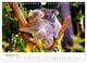 Thumbnail-11