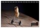 Thumbnail-10