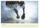 Thumbnail-9