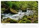 Thumbnail-10
