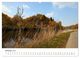 Thumbnail-12