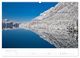 Thumbnail-14