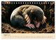 Thumbnail-10