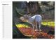 Thumbnail-10
