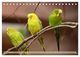 Thumbnail-8
