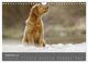 Thumbnail-11