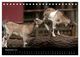 Thumbnail-14