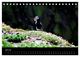 Thumbnail-12