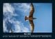 Thumbnail-9
