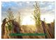 Thumbnail-10