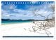 Thumbnail-11