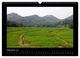 Thumbnail-11