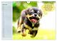 Thumbnail-11