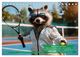 Thumbnail-10
