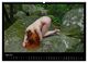 Thumbnail-9
