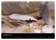 Thumbnail-11