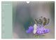 Thumbnail-14