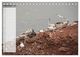 Thumbnail-14