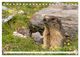 Thumbnail-9